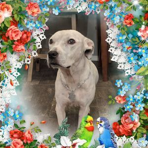 Meet your Posher, Larissa